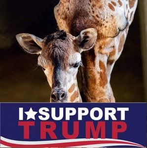 Meet your Posher, Sonya